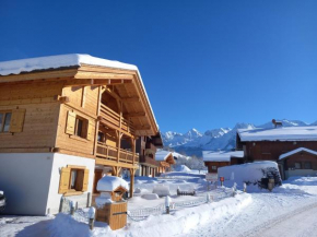 Le Téléski du Terret; meublé de 2 à 4 personnes Le Grand-Bornand